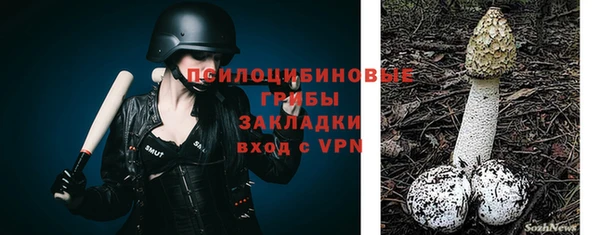 PSILOCYBIN Беломорск