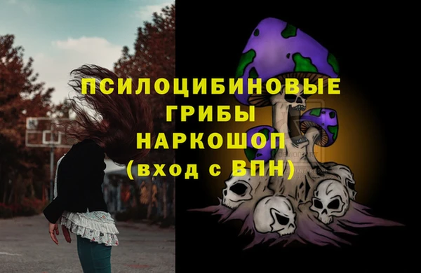 PSILOCYBIN Беломорск