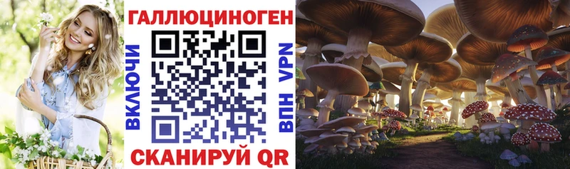 Псилоцибиновые грибы Magic Shrooms  ссылка на мегу вход  это как зайти  купить   Дятьково 