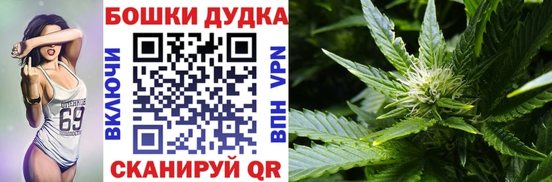 Бошки марихуана Amnesia  закладки  Дятьково 